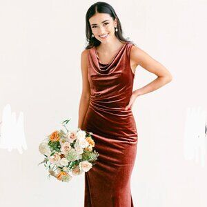 Revelry Faith Rust Velvet Dress Size 4 Tall